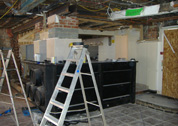 Orchid of Spalding - Before